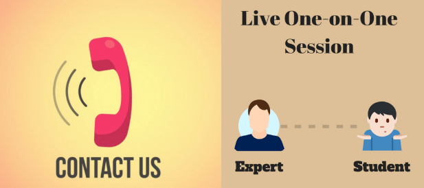 one to one live session