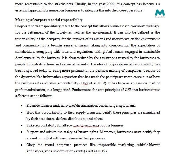 Business Assignment responsibility