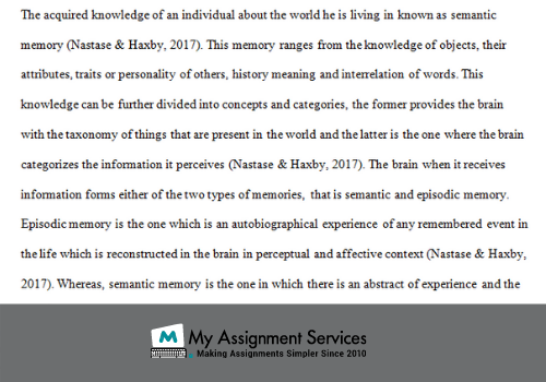 Neuroscience assignment answers