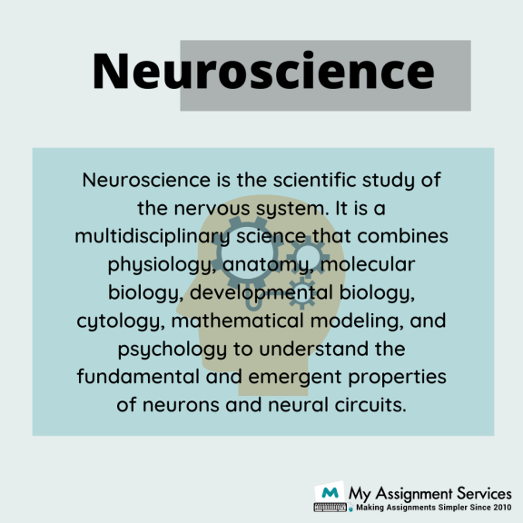Neuroscience assignment help